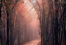 去年膝盖重伤！西媒：米利唐膝盖恢复顺利，但不一定能赶上世俱杯.