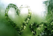 [NBA]珀尔特尔24+12 猛龙送黄蜂四连败.