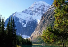 [NBA]珀尔特尔24+12 猛龙送黄蜂四连败.